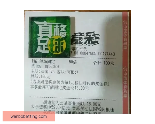 世界杯竞猜网站推荐与投注技巧分析助你精准预测赛事结果